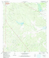 Freer South 1971 topographic map thumbnail