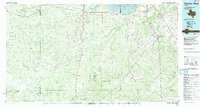 George West 1985 topographic map thumbnail
