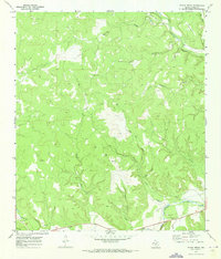 Stark Creek 1970 topographic map thumbnail