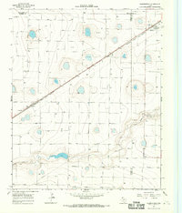 Summerfield 1966 topographic map thumbnail