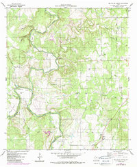 Big Valley North 1980 topographic map thumbnail