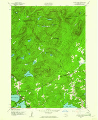 Caroga Lake 1945 topographic map thumbnail