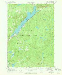 Brant Lake 1966 topographic map thumbnail