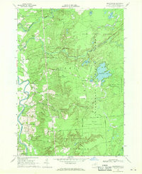 Brantingham 1966 topographic map thumbnail