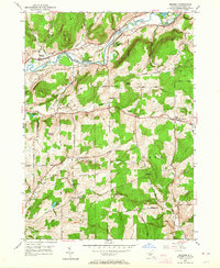 Brisben 1949 topographic map thumbnail