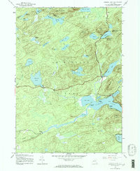 Canada Lake 1945 topographic map thumbnail