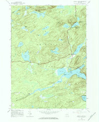 Canada Lake 1945 topographic map thumbnail