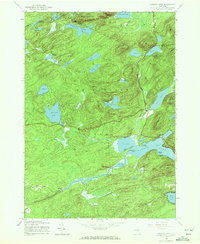 Canada Lake 1945 topographic map thumbnail
