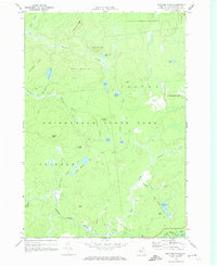Brother Ponds 1970 topographic map thumbnail