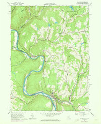 Callicoon 1965 topographic map thumbnail