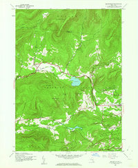 Bearsville 1945 topographic map thumbnail