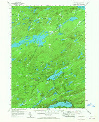 Big Moose 1954 topographic map thumbnail