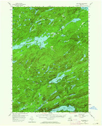 Big Moose 1954 topographic map thumbnail