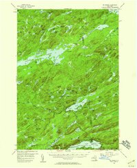 Big Moose 1954 topographic map thumbnail
