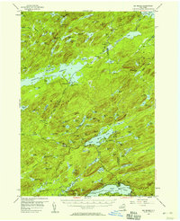 Big Moose 1954 topographic map thumbnail