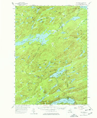 Big Moose 1954 topographic map thumbnail