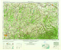 Binghamton 1963 topographic map thumbnail