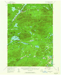 Blue Mountain 1954 topographic map thumbnail