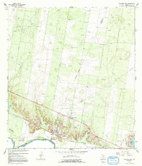 Sullivan City 1965 topographic map thumbnail