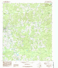 Tenaha East 1984 topographic map thumbnail