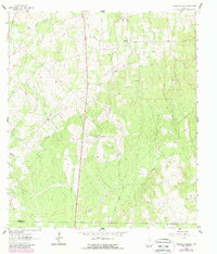 Thomas Springs 1961 topographic map thumbnail