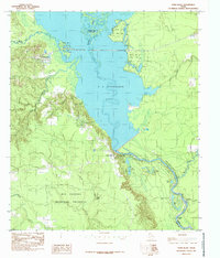Town Bluff 1984 topographic map thumbnail