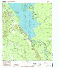 Town Bluff 1984 topographic map thumbnail