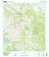 Travis Peak 1986 topographic map thumbnail