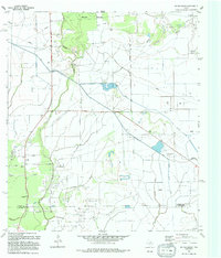 Whites Bayou 1994 topographic map thumbnail