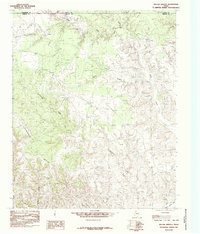 Willow Arroyo 1985 topographic map thumbnail