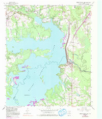 Wright Patman Lake 1954 topographic map thumbnail