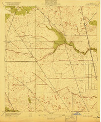 Aldine 1919 topographic map thumbnail