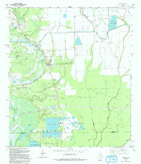 Shiloh 1993 topographic map thumbnail