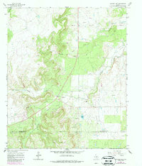 Snyder Lake 1965 topographic map thumbnail