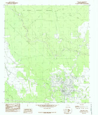 Sour Lake 1984 topographic map thumbnail