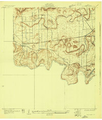 Santa Maria 1929 topographic map thumbnail
