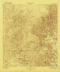 Nueces 1896 topographic map thumbnail
