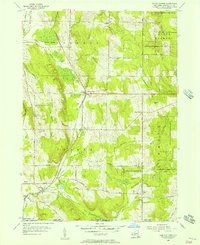 North Clymer 1954 topographic map thumbnail