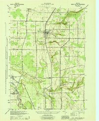 North Collins 1944 topographic map thumbnail