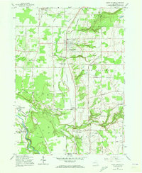 North Collins 1960 topographic map thumbnail