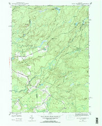 North Wilmurt 1946 topographic map thumbnail