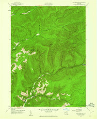 Peekamoose Mountain 1943 topographic map thumbnail