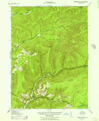 Peekamoose Mountain 1943 topographic map thumbnail