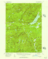 Piseco Lake 1954 topographic map thumbnail