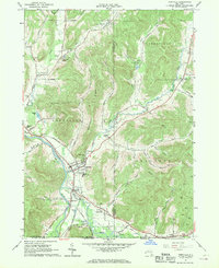 Portville 1961 topographic map thumbnail