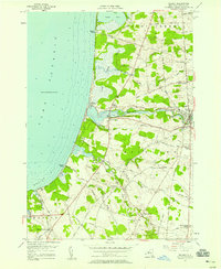 Pulaski 1956 topographic map thumbnail