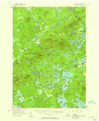 Saint Regis 1955 topographic map thumbnail