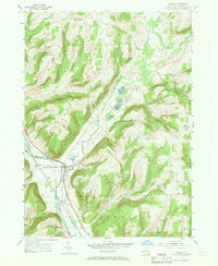 Savona 1953 topographic map thumbnail