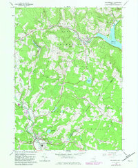 Grahamsville 1982 topographic map thumbnail