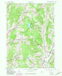 Holmesville 1943 topographic map thumbnail
